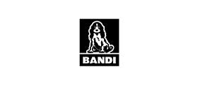 Bandi